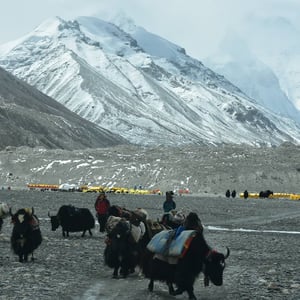 Het Base Camp op de Mount Everest